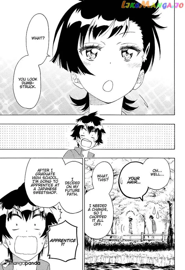 Nisekoi Chapter 203 image 15_optimized